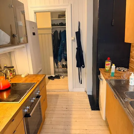 Bright And Cozy With Balcony Oslo