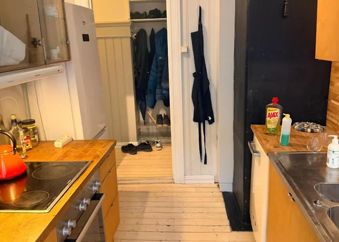 Bright And Cozy With Balcony Oslo